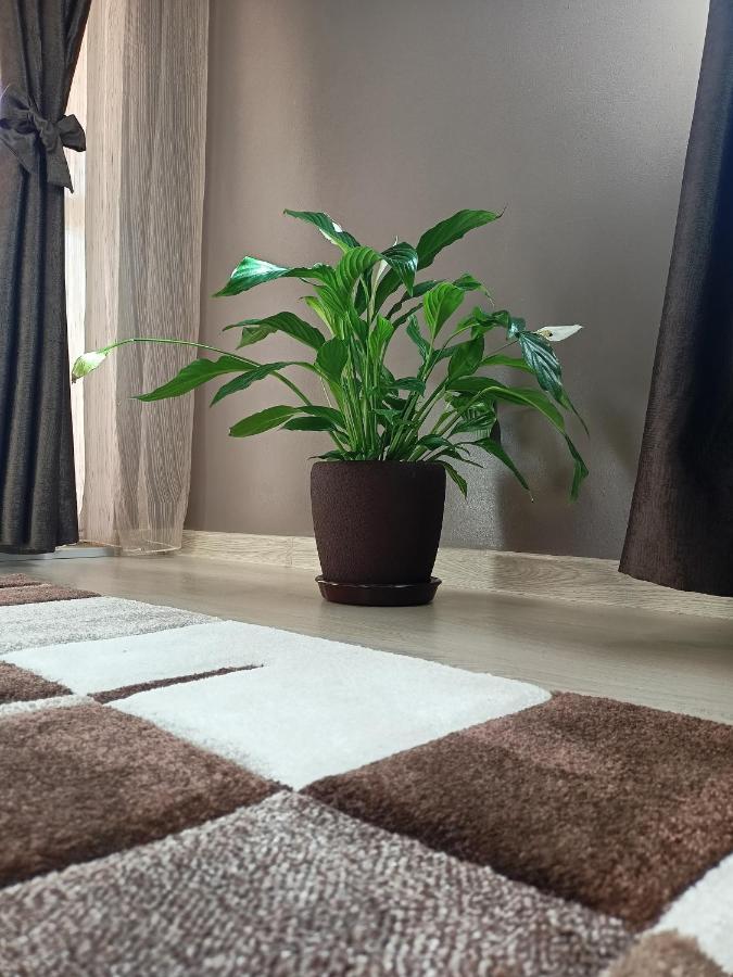 стоянови Apartament *